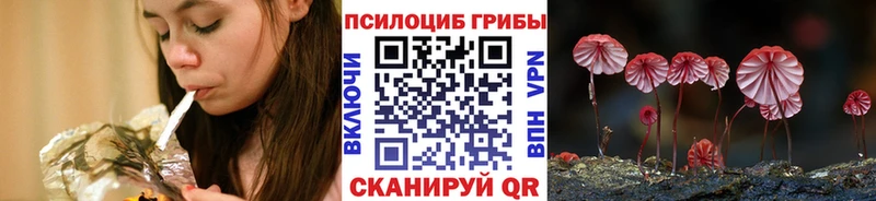 купить наркоту  Куртамыш  Псилоцибиновые грибы Magic Shrooms 